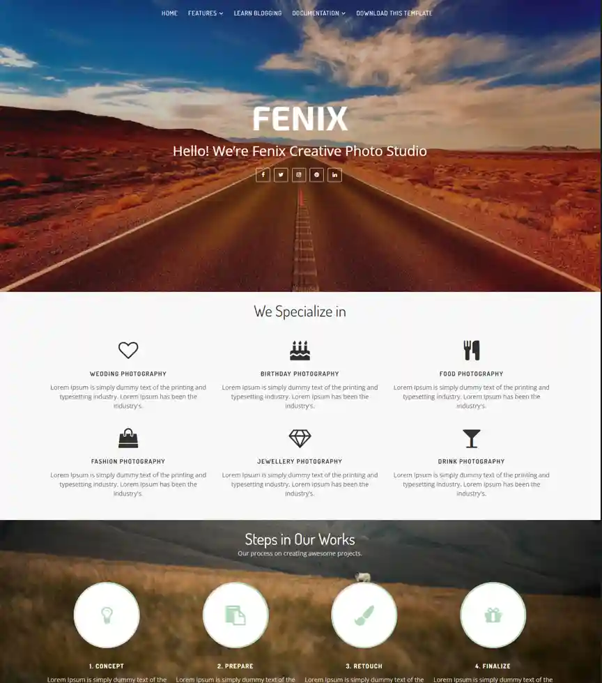 Fenix Portfolio landing theme overview look